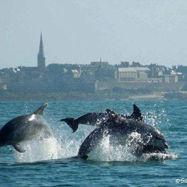 Le Clos Boheme Apartment Saint-Malo Bagian luar foto
